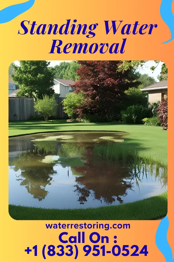 Standing Water Removal in Hemlock, OH
